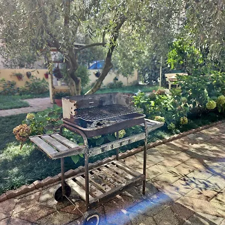 Seaside Bliss 2 גולם