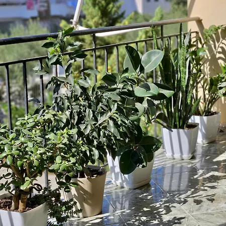 בית הארחה Seaside Bliss 2