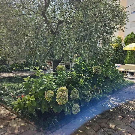 Seaside Bliss 2 * גולם