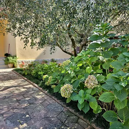 Seaside Bliss 2 * 格勒姆